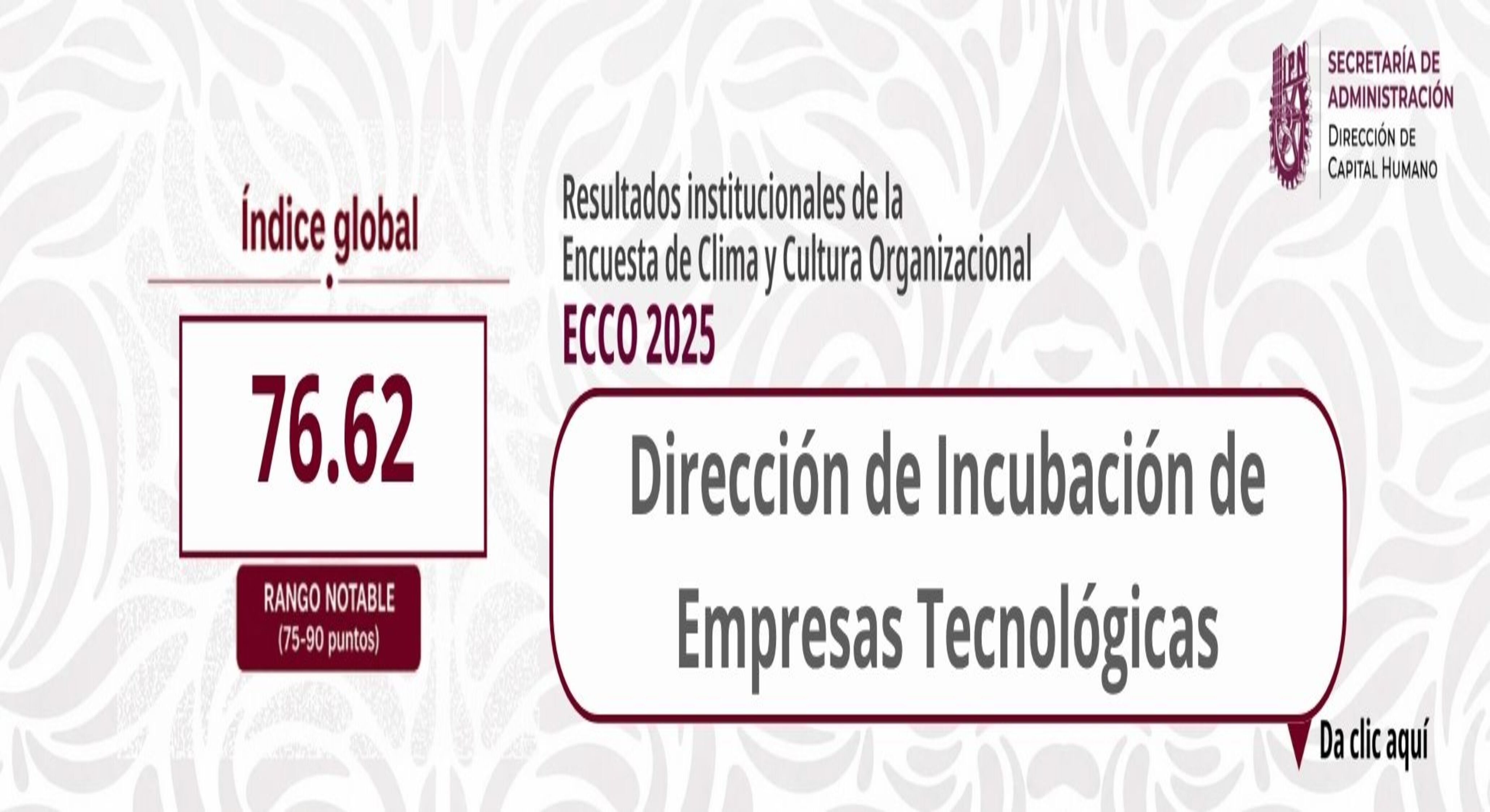 ECCO 2025
